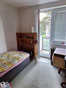 Spolubydlení pro studentky v Hradci Králové- Malšovice - 6