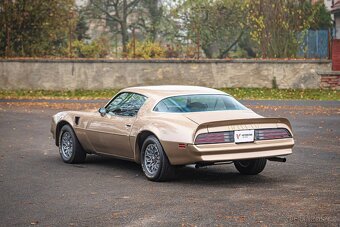 Pontiac Firebird  1977 - 6