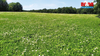 Prodej louky, 4766m², Štramberk - 6