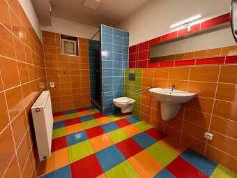 Pronájem bytu 1+1 ve Velkých Hošticích - 6