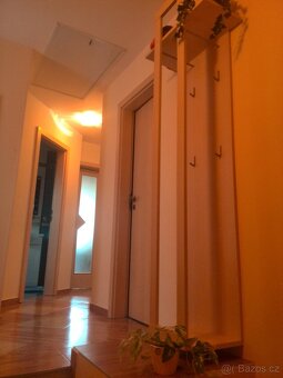 Pronájem bytu 1+kk - 6