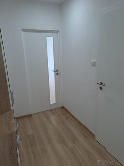 Pronajmu byt 1+1 po rekonstrukci - 6