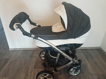 Camarelo alicante - 6