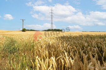 Prodej pozemku Zaječice u Pyšel - 6