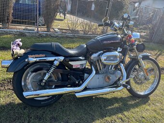 HD Sportster xl custom 883 - 6