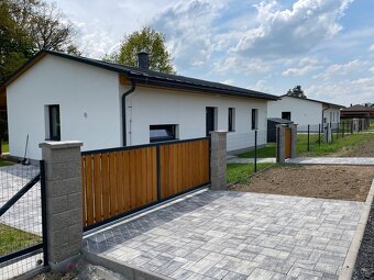 Pronájem - 6