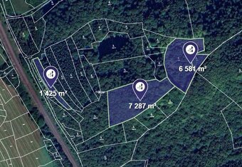 Prodej podílu 1/5 lesa 83 309 m², Prlov - 6