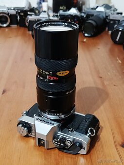 OLYMPUS OM-20 (Soligor Zoom Macro 70-210mm) - 1983 - 6