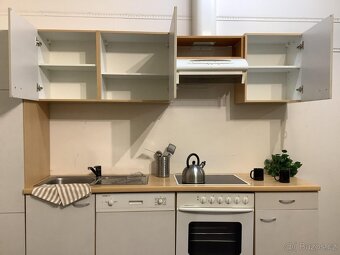 Rovná kuchyňská linka ZOE - 6