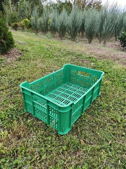 Plastová přepravka OZ15 zelená - 6