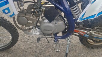 Pitbike Dorado 140ccm - 6