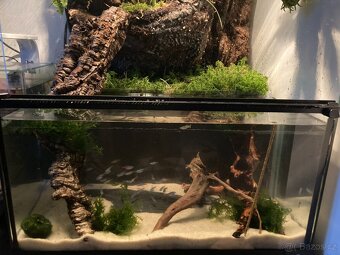 Terárium/Paludárium ReptiPlanet 45x45x90cm s 3D pozadím - 6