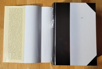 Suk, J.: Labyrintem revoluce, vydal Prostor 2009 - 6