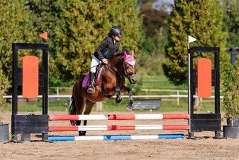 Hodná pony klisna kat. A - 6