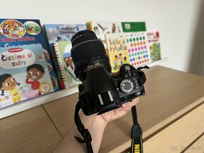 Nikon D3100 / 18-55mm / 55-200mm - 6