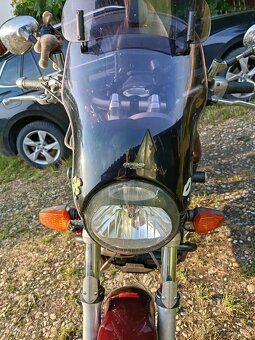 Yamaha Bulldog 1100 - 6