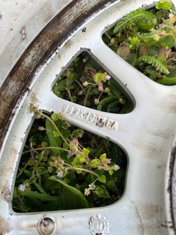 Ale kola R15 - 6