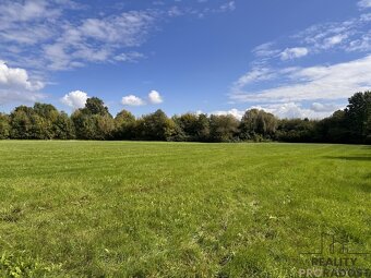 Prodej louky v k.ú. Rohatec u řeky Moravy - 6