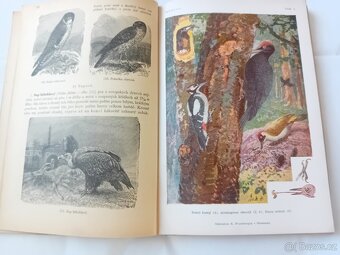 Staré naučné knihy - 6