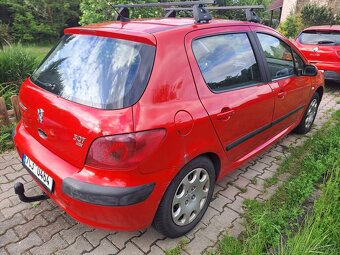 Peugeot 307 - 6