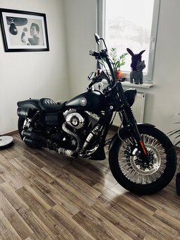 Harley - Davidson FXDF - 6