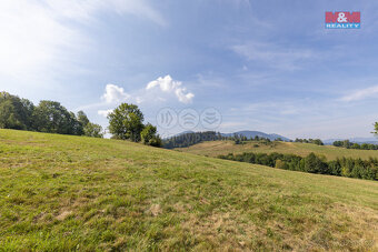 Prodej louky, 9664 m², Čeladná - 6