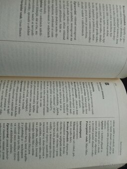 Nemoc jako symbol - 6