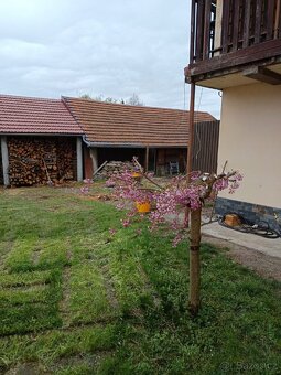 Prodám rodinný dům v Dolním Újezdě - 6