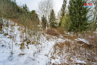Prodej zahrady, 2180 m², Plasy - 6