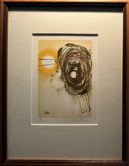 obraz Saša Lebedová znamení Lev - 6