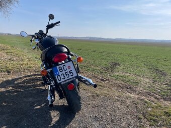 Triumf Bonneville t100 (2015) - 6