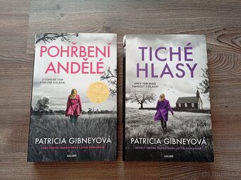 10x Kniha Patricia Gybneyová - 6