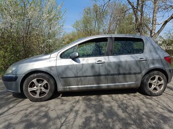 Peugeot 307 - 6