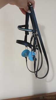 Hobby horse - 6