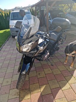 Suzuki V-strom 650 - 6