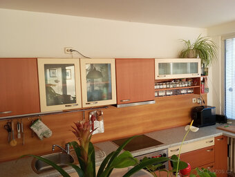 Prodám kvalitní kuchyň Koryna – kompletní sestava se spotřeb - 6