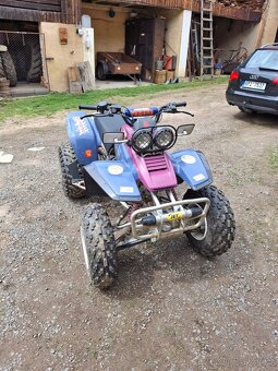 Yamaha varrior 350 - 6