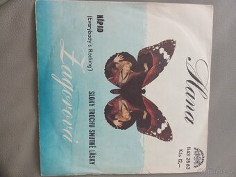 LP desky vinyl malé - 6