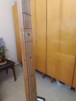 Fender Brad Paisley Esquire MN BLK - 6