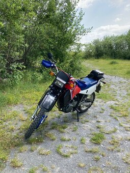 Kawasaki KL650 - 6