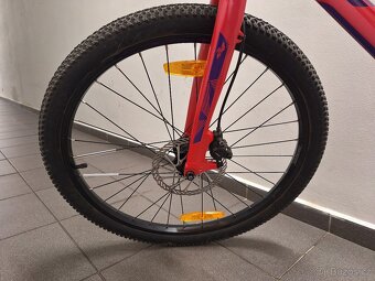 AMULET 24 Youngster - 6