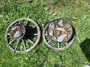 10ks kovové poklice ø25 cm jako miska pro sukulenty - 6