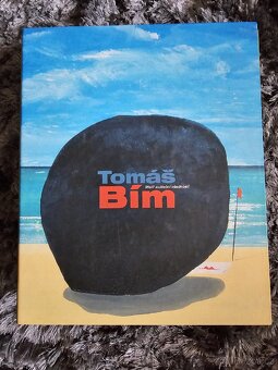 Kniha malíře Tomáš Bím - 6