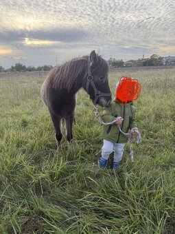 Pony k dětem - 6