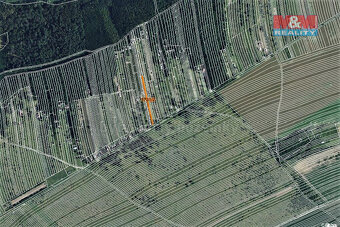 Prodej vinice, 334 m², Břeclav-Charvátská Nová Ves - 6