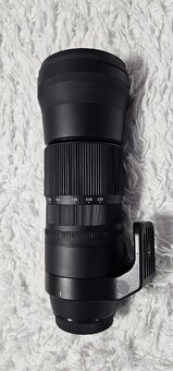 Sigma 150-600mm f5-6.3 - 6