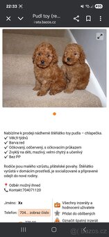 Pudl podvodníci ‼️‼️‼️ Stiahnuté fotky - 6