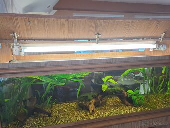 Skříň včetně akvária - 6