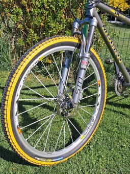 Morati HC 1.3 - 6