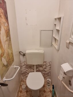 Pronajmu byt 3+1 v Olivětíně - 6